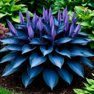 Хоста Сикрет Гров купить по цене от 570р. в интернет-магазине «Посадика» с доставкой почтой в в Новая Ляляе и по всей России – [изображение №1].