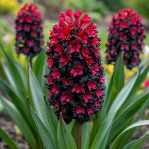 Гиацинт Джем Стоун купить по цене от 2099р. в интернет-магазине «Посадика» с доставкой почтой в в Новая Ляляе и по всей России – [изображение №1].