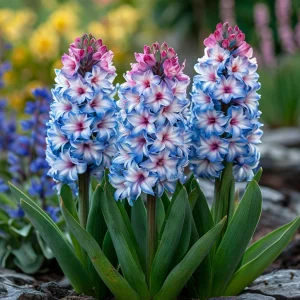 Гиацинт Пинк Мари купить по цене от 2099р. в интернет-магазине «Посадика» с доставкой почтой в в Новая Ляляе и по всей России – [изображение №1].