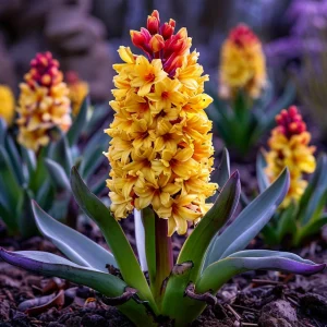 Гиацинт Миднайт Мистери купить по цене от 2099р. в интернет-магазине «Посадика» с доставкой почтой в в Новая Ляляе и по всей России – [изображение №1].