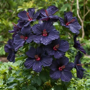 Гибискус Мэджик Момент купить по цене от 699р. в интернет-магазине «Посадика» с доставкой почтой в в Новая Ляляе и по всей России – [изображение №1].